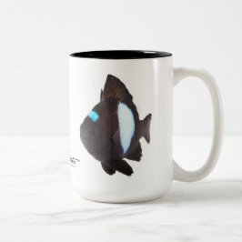 Hawaiischer DominoDamselfish, Dascyllus albisella Zweifarbige Tasse