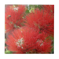 Hawaiischer gebürtiger Ohia Lehua Blumen-Entwurf