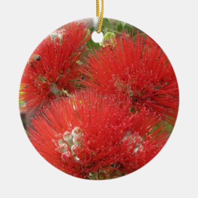 Hawaiischer gebürtiger Ohia Lehua Blumen-Entwurf Keramikornament (Vorne)