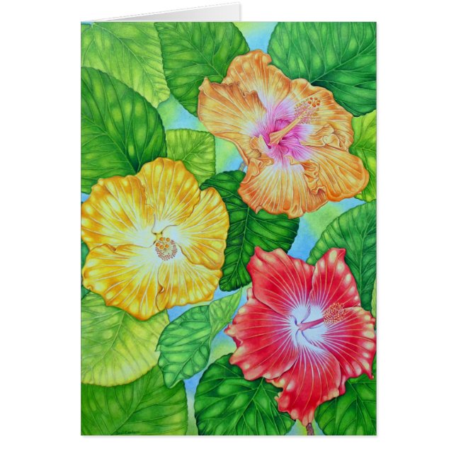 Hawaiischer Hibiskus (Vorne)