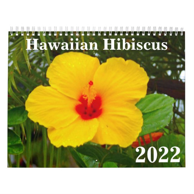 Hawaiischer Hibiskus 2022 Kalender (Titelbild)