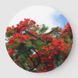Hawaiischer königlicher Poinciana blühender Baum Große Wanduhr