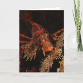 Hawaiischer Lionfish Karte
