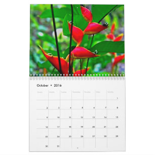 Hawaiischer Naturkalender Kalender