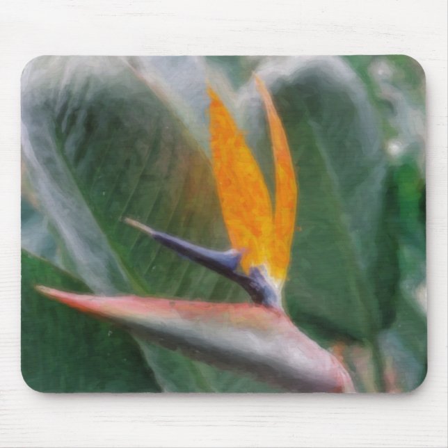 Hawaiischer Paradiesvogel Mousepads (Vorne)