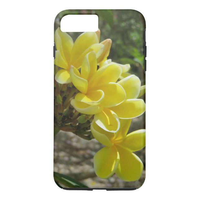 Hawaiischer Plumeria Case-Mate iPhone Hülle (Rückseite)