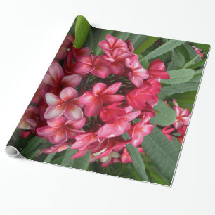 Hawaiischer Plumeria Geschenkpapier