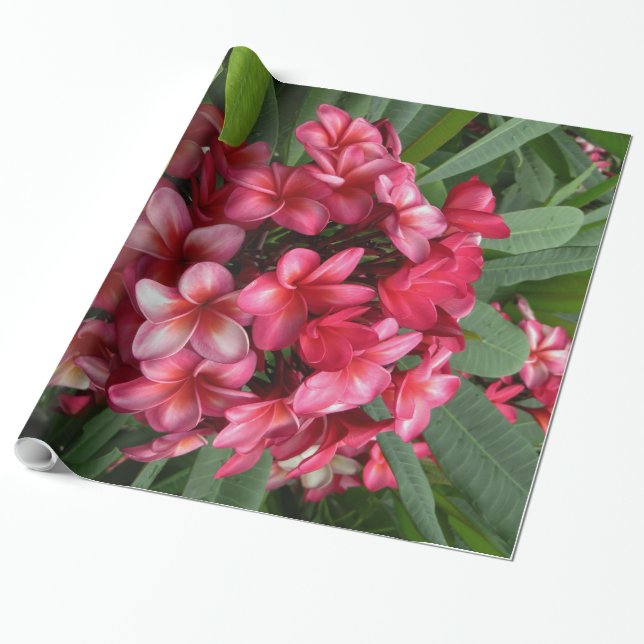 Hawaiischer Plumeria Geschenkpapier (Ungerollt)