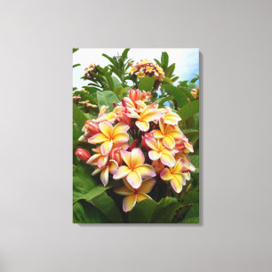 Hawaiischer Plumeria Leinwanddruck