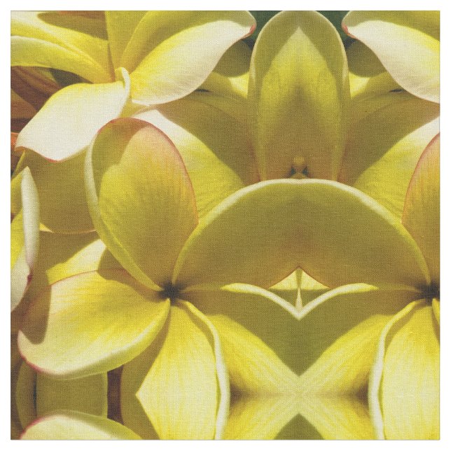 Hawaiischer Plumeria Stoff (Nahaufnahme)