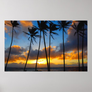Hawaiischer Sonnenaufgang Poster