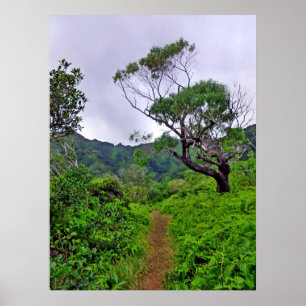 Hawaiischer Wanderweg Poster