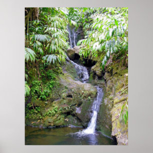 Hawaiischer Wasserfall Poster