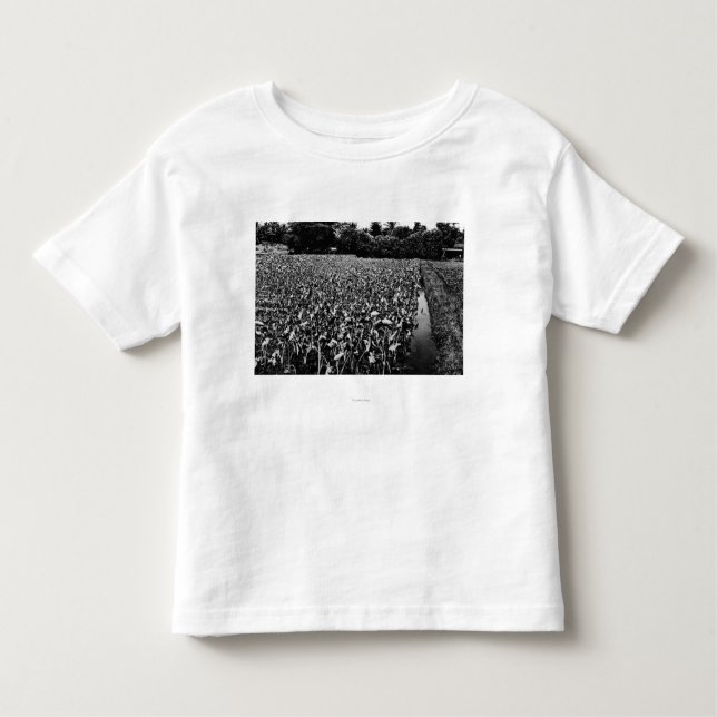 Hawaiisches IslandsTaro Feld PhotographHawaii Kleinkind T-shirt (Vorderseite)