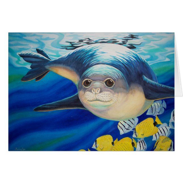 Hawaiisches Mönch-Siegel (Vorderseite (Horizontal))