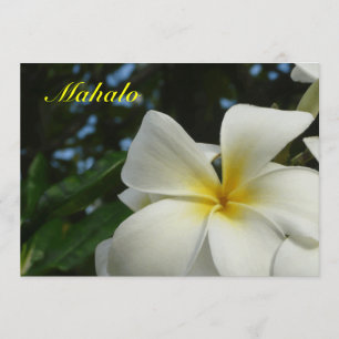 Hawaiisches Plumeria-Blumen-Beileid danken Ihnen Dankeskarte