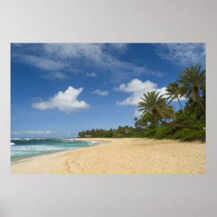 Hawaiisches Strandplakat VON 8,99 Poster