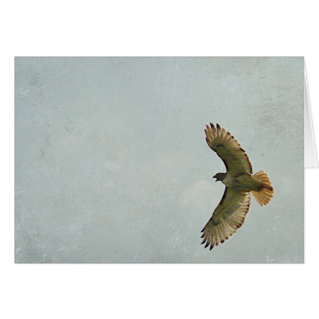 Hawk (Vorderseite (Horizontal))