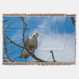 Hawk auf der Jagdwurzeldecke Decke