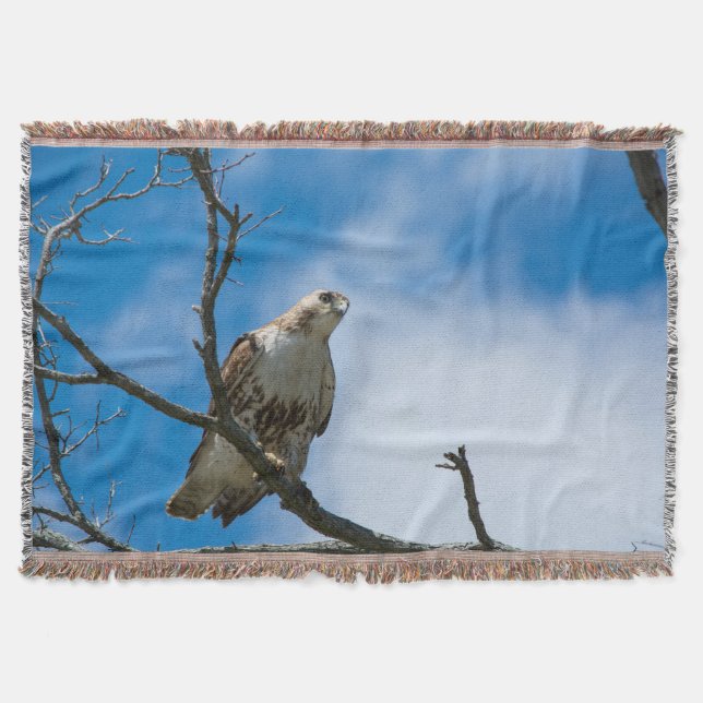 Hawk auf der Jagdwurzeldecke Decke (Vorderseite)