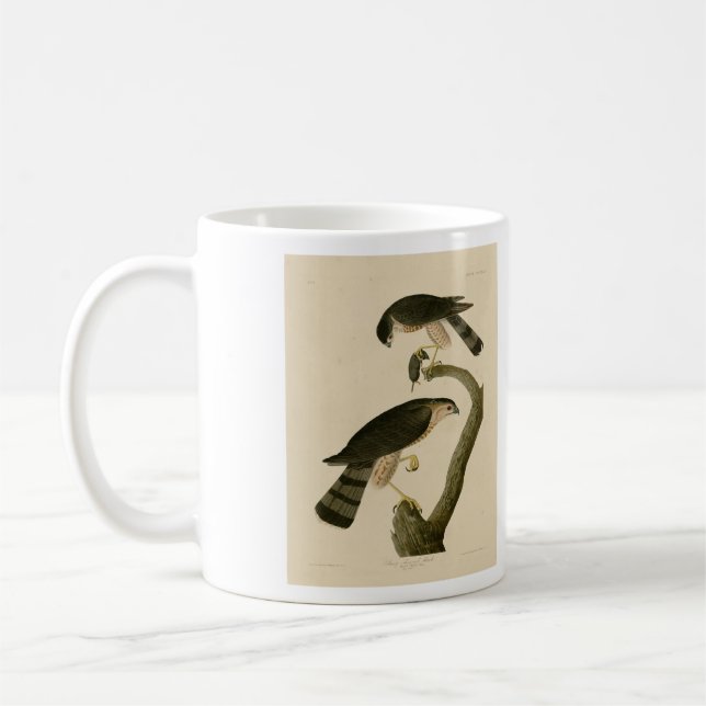 Hawk aus Audubons Vögeln in Amerika Kaffeetasse (Links)