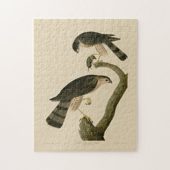 Hawk aus Audubons Vögeln in Amerika Puzzle (Vertikal)