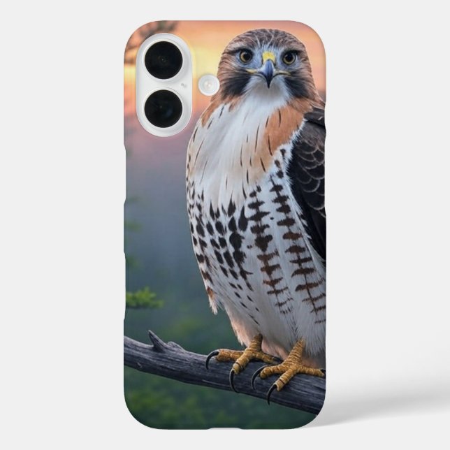 Hawk bei Sonnenuntergang Case-Mate iPhone Hülle (Rückseite)