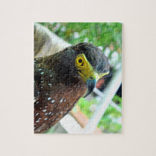 Hawk Bird Puzzle