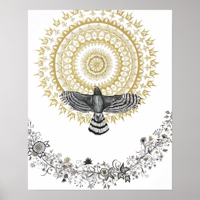 Hawk Dreams Poster (Vorne)