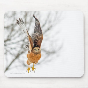 Hawk fliegen mousepad