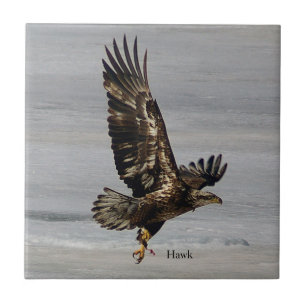 Hawk Fliese