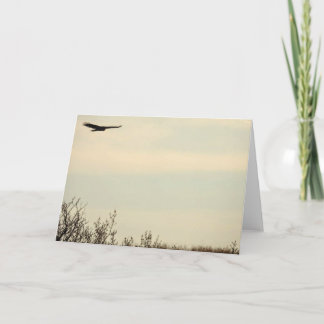 Hawk Flying High-Note-Karte Karte