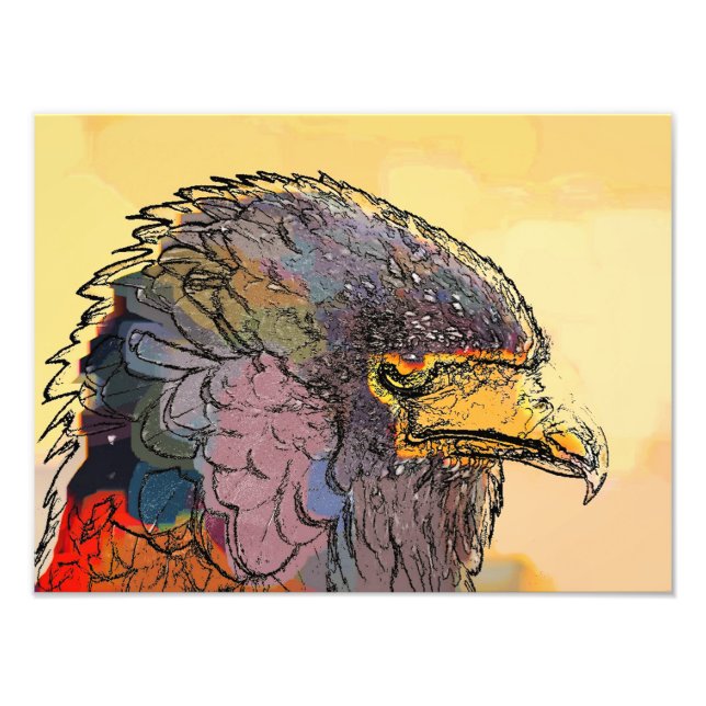 HAWK FOTODRUCK (Vorne)