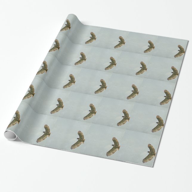Hawk Geschenkpapier (Ungerollt)