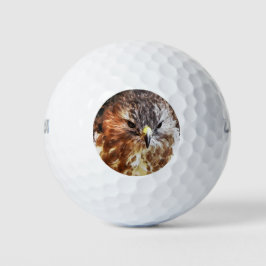 HAWK GOLFBALL