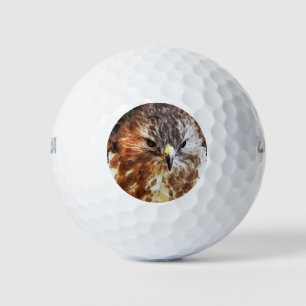 HAWK GOLFBALL
