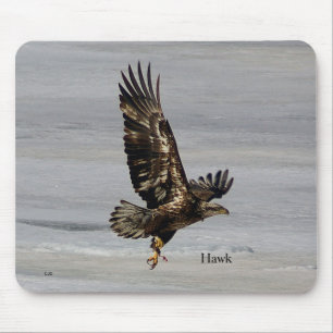 Hawk-Maus-Pad Mousepad