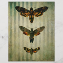 Hawk Moths Vintag Scrapbook Ephemera