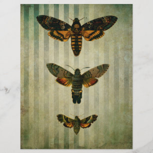 Hawk Moths Vintag Scrapbook Ephemera