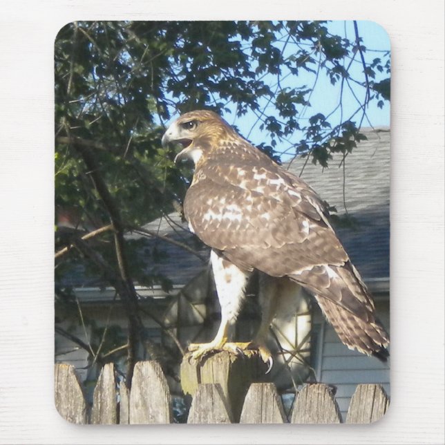 Hawk Mousepad (Vorne)