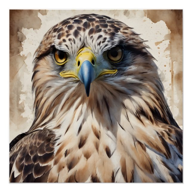 Hawk no 3 Glossy Poster (Vorderseite)