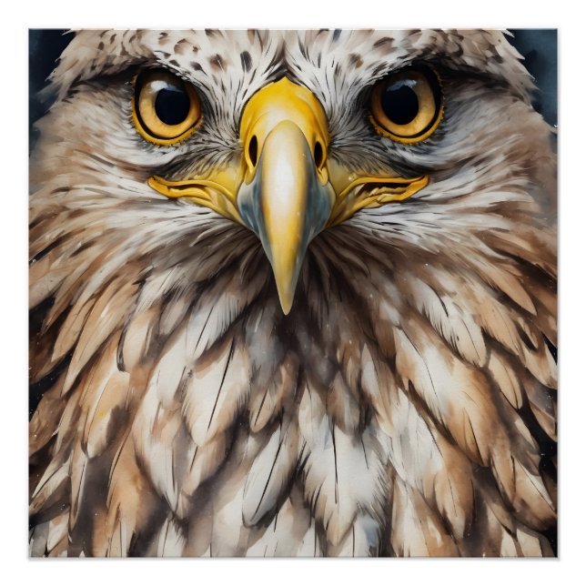 Hawk no 5 Glossy Poster (Vorderseite)