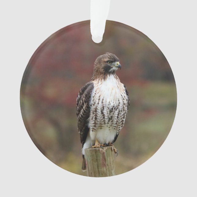 Hawk-Ornament Ornament (Vorderseite)
