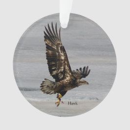 Hawk-Ornament Ornament