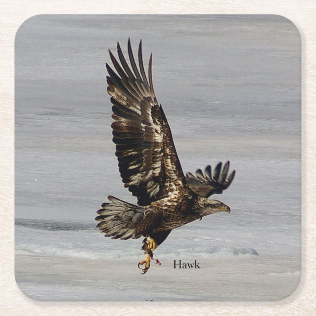 Hawk Paper Untersetzer (Vorderseite)