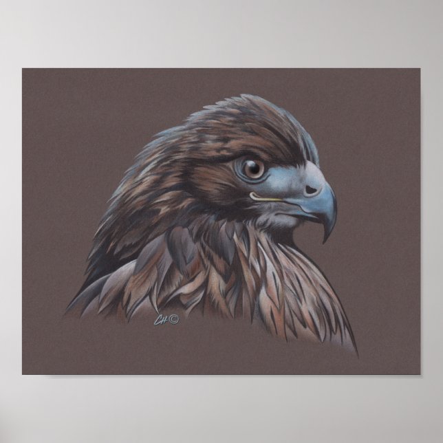 Hawk Poster (Vorne)