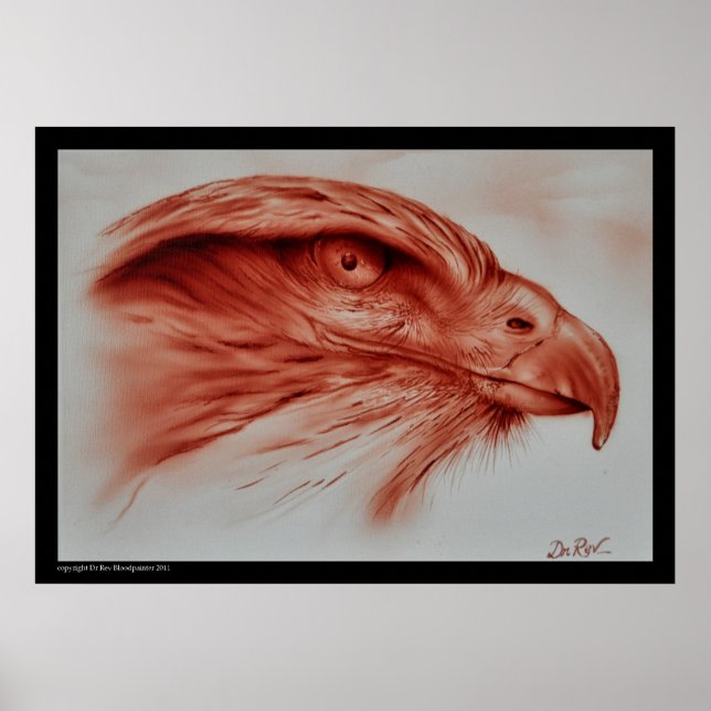 Hawk Poster (Vorne)