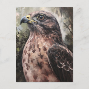Hawk Postkarte