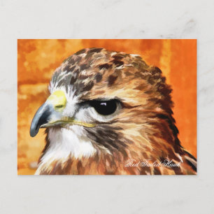 HAWK POSTKARTE