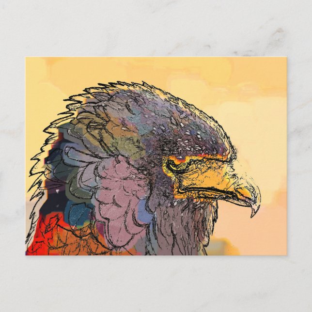 HAWK POSTKARTE (Vorderseite)